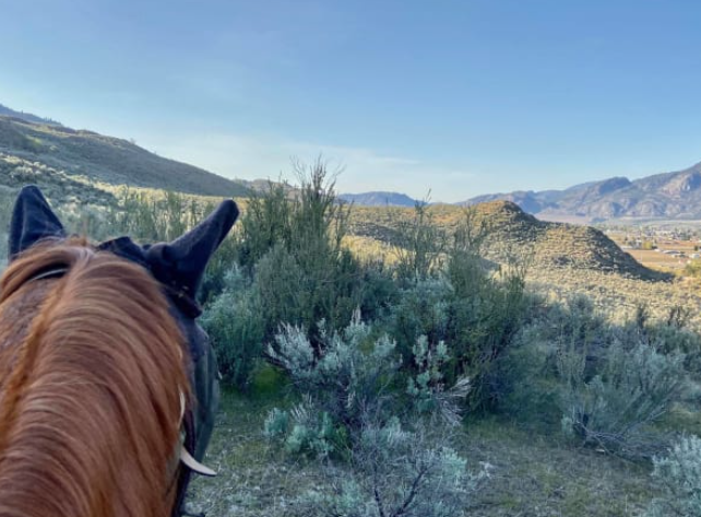 ways to experience nature in osoyoos